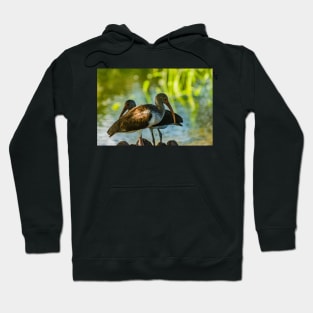 white ibis 2 Hoodie